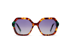 Iggy Teal Tortoise