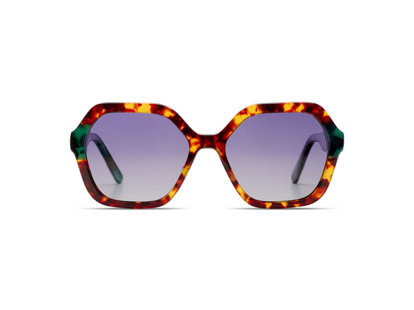 Iggy Teal Tortoise