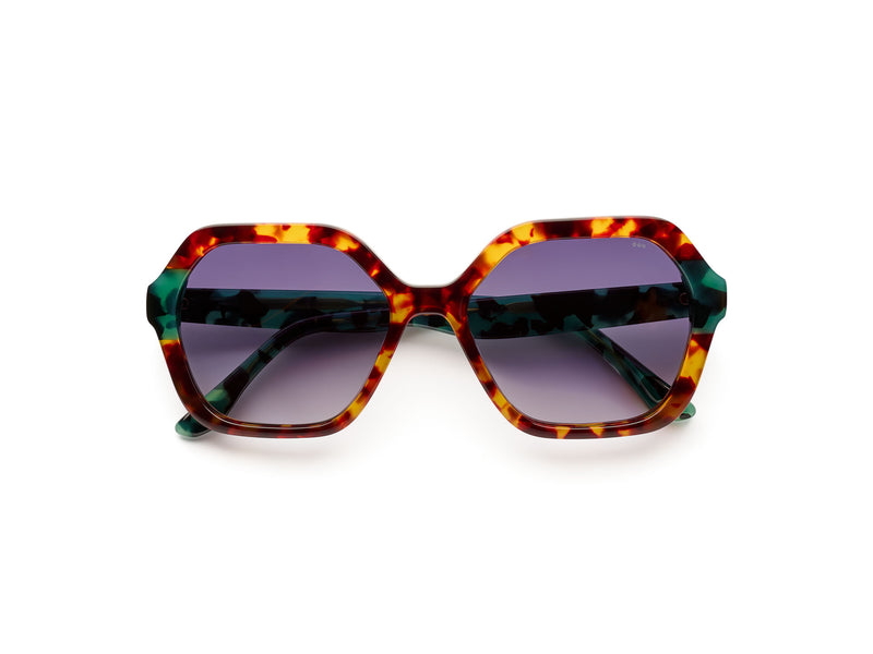 Iggy Teal Tortoise